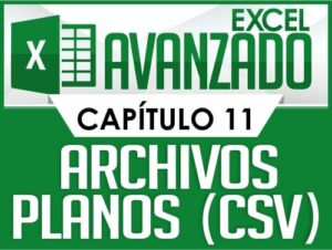 Curso de Excel Avanzado - Capítulo 11