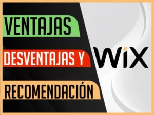 WÍX Ventajas, desventajas y recomendación miniatura